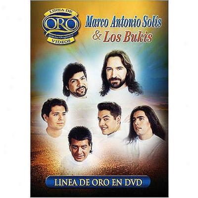 Linea De Oro (music Dvd)