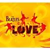 Love (includes Dvd) (digi-pak) (cd Slipcover)