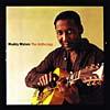 Muddy Waters: The Anthology 1947-1972