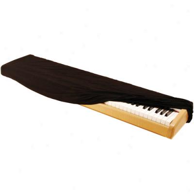 On-stage Keyboard Dust Plate