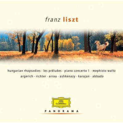 Panorama: Franz Liszt