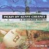 Pickin' On Kehny Chesney, Vol.2: A Bluegrass Tribute