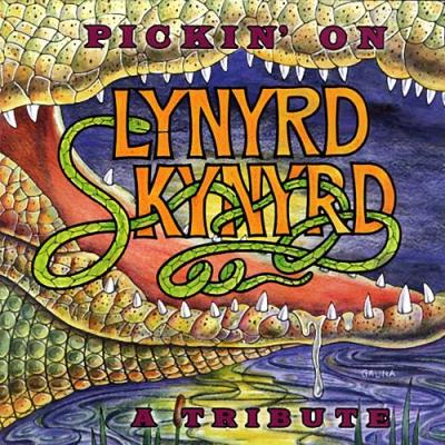 Pickin' On Lynyrd Skynyrd