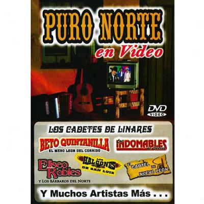 Puro Norte En Video (music Dvd)