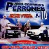 Puros Corridos Perrones Vol.10: Entre Lineas, Vjejas Y Feria