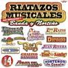 Riatazos Musicales: Banda Y Nortena, Voll.4