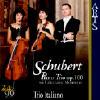 Schubert: Piano Trio Op.100 With Aoternative Movement Vol.2