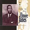 Sky Is Crying: History Of Elmore James