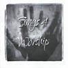 Songs 4 Worship: Platinum (includes Dvd)