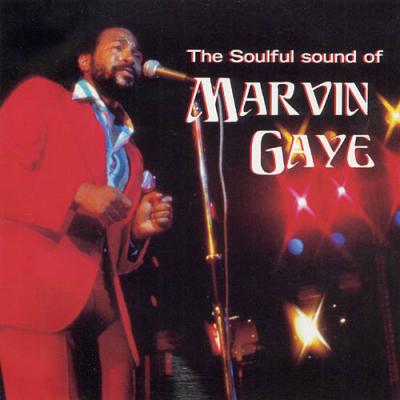 Soulful Sound Of Marvin Gaye (sony Special Products)