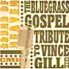 Sound Of_Heaven: The Bluegrass Gospel Tribute To Vince Sweetheart