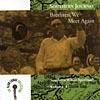 Southern Journey, Vol.4: Brethren, We Meet Again - Southern Whie Spirituals (remaster)