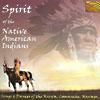 Spirit Of The Native American Indians