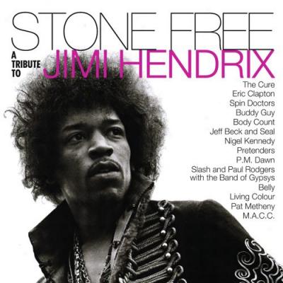 Stone Free: A Tribute To Jimi Hendrix