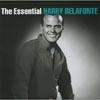 The Rudiment: Harry Bwlafonte (2cd)