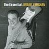 The Volatile Jimmie Vaughan (remaster)