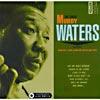 The Great Muddy Waters (collector's Edition) (3 Disc Box Set )