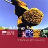 The Rough Guide To Soutn African Jazz