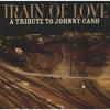 Train Of Love: A Grant To Johnny Cash (remaster)