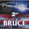 Tributes To Pink Floyd & Bruce Springsteen (2cd)