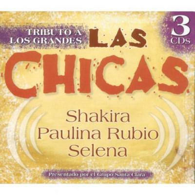 Tributos A Los Grandes Las Chicass (3cd) (digi-pak)