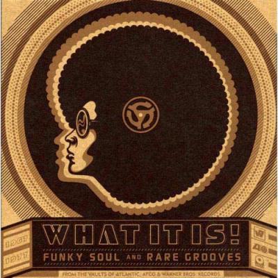 What It Is!: Funky Soul And Rare Grooves 1967-1977 (4 Disc Box Set)