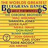 World's Greatest Bluegrass Bands Vol.2: 32 Great Performances