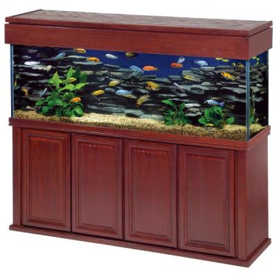 125 Gallon Display Tank