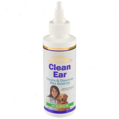 21st Century Clean Ear