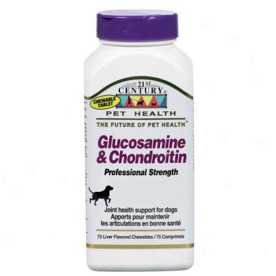 21st Century Glucosamine & Chondroitin Professional Strength With Ester-c