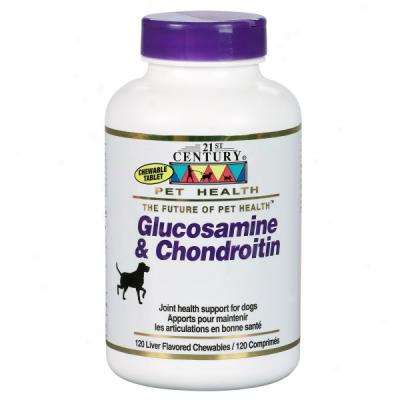 21st Century Glucosamine & Chondroitin Wth Ester-c