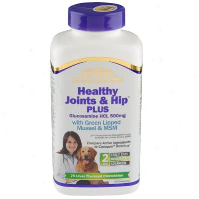 21st Century Healthy Joints & Hip Plus