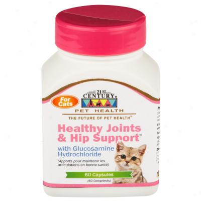 21st Century Healrhy Joints & Hip Support For Cats