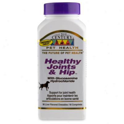 21st Century Healthy Joints & Hip Dog Supplement