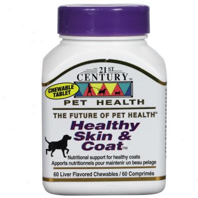 21st Century Healthy Skin & Coat Dog Supplement