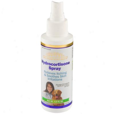 21st Crntury Hydrocortisone Spray