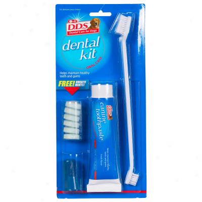 8 In 1 Dental Kit