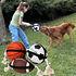 Action Ball Dog Toys By Karlie