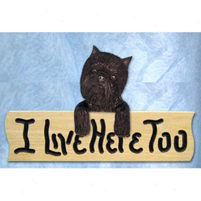 Affenpinscher I Live Here Overmuch Oak Finish Sign