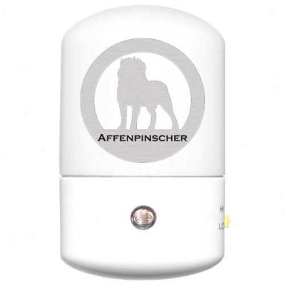 Affenpinsfher Led Nighy Light