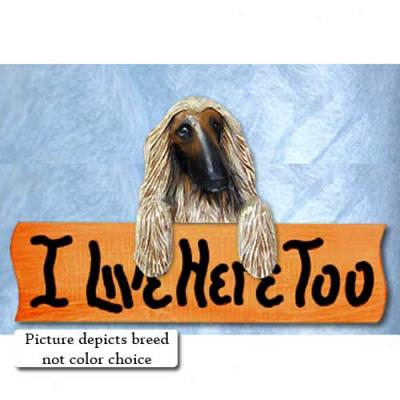 Afghan Hound I Live Hers Too Maple Finish Token Black