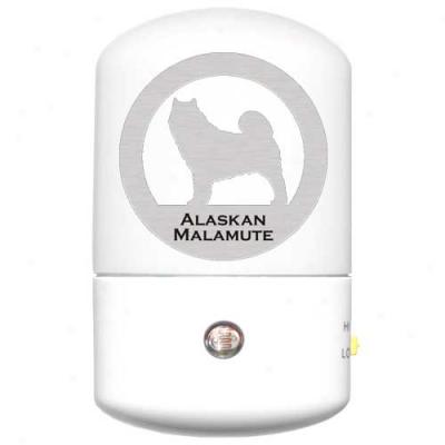 Alaskan Malamute Led Night Light