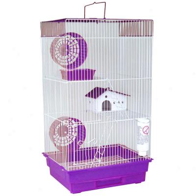 All Living Things? 3 Level Hamster Home