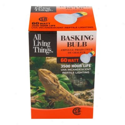 All Living Things? Basking Bulbs