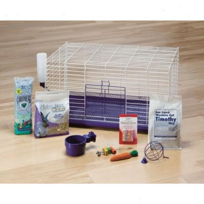 All Living Things? Deluxe Rabbit Kit