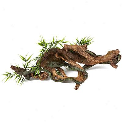 All Living Things? Driftwood & Vine With Trailing Plants