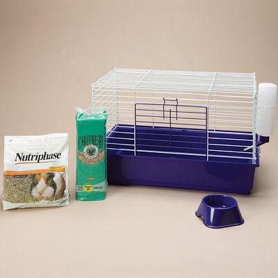 All Living Things? Guinea Pig Starter Kit