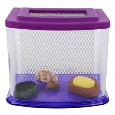 All Livelihood Things? Hermit Crab Starter Kit