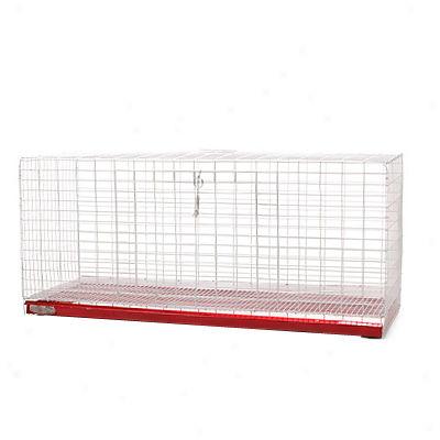 All Living Things? Rabbit Cage - 36 Inch