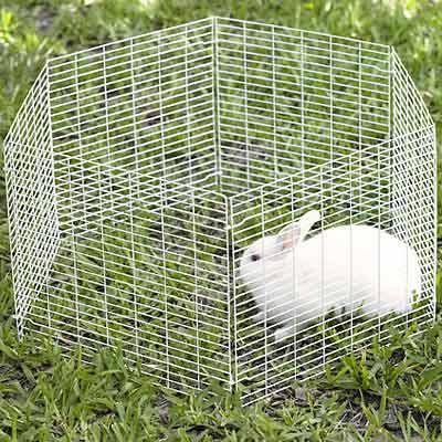 All Living Things? Small Animal Playpens